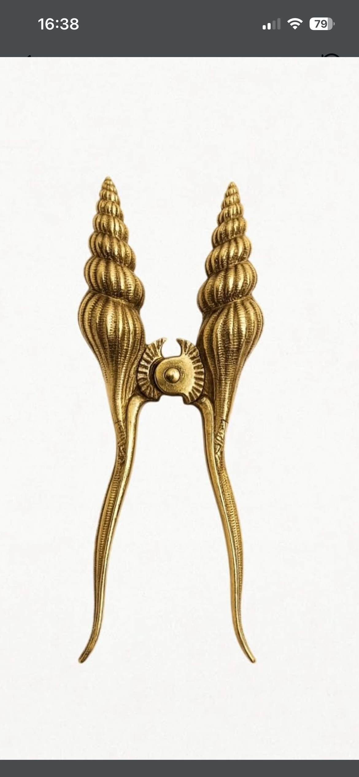 Altın Rengi Pirinç Deniz Kabuğu Ceviz & Fındık Kıracağı - Lüks Koleksiyon